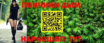 МДПВ Сланцы